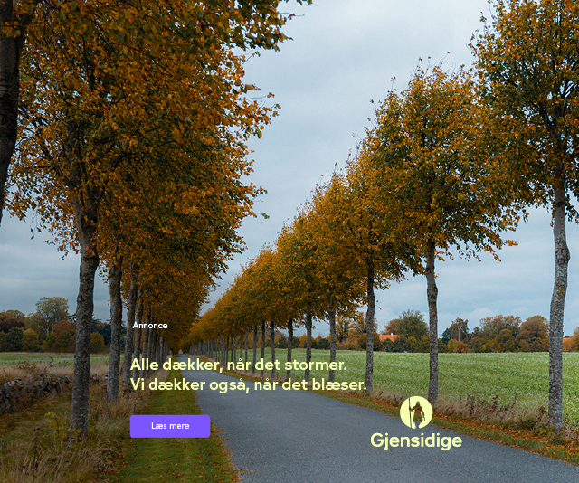 Boligsiden - forsidebillede
