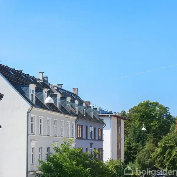 En række klassiske byhuse står i ro. De er placeret ved siden af grønne træer under en klar blå himmel.