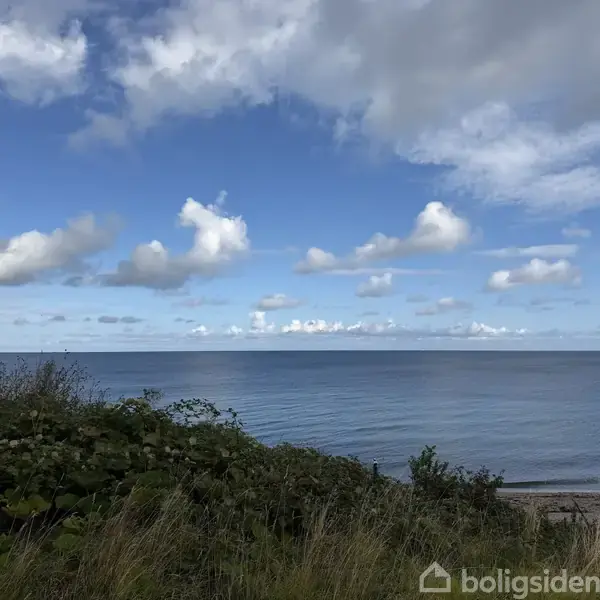 Havet ligger roligt under en blå himmel med spredte skyer. I forgrunden ses buske og græs ved strandkanten.