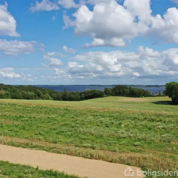 Grøn mark strækker sig mod horisonten, hvor en sø skimtes. Spredte træer omkranser området. Skyer dækker en blå himmel.