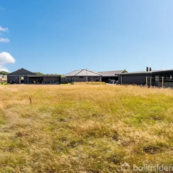 En åben græsmark med høj, gylden vegetation grænser op til moderne, lave huse i et villakvarter under en klar blå himmel.