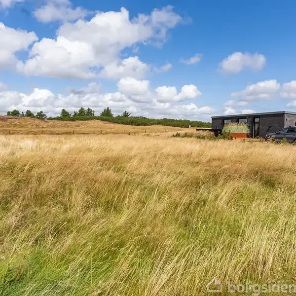 Græsmark med højt, gyldent græs står stille i en flad, åben landskabskontekst med et moderne hus og en parkeret bil i baggrunden under en delvist skyet blå himmel.
