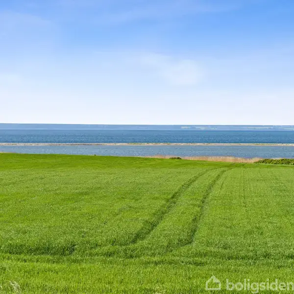 Grøn mark strækker sig mod en blå horisont, hvor havet møder himlen. Til venstre ses lidt af et træ og til højre en mørk stolpe.