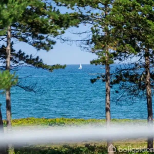 En sejlbåd sejler på havet i baggrunden, omgivet af grønne træer i forgrunden, under en klar himmel.