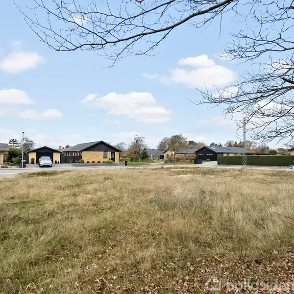 Græsplæne strækker sig i forgrunden; bagved ses flere enfamilieshuse med flade tage. En trægren hænger fra højre side. Skyfri himmel med spredte skyer i baggrunden.