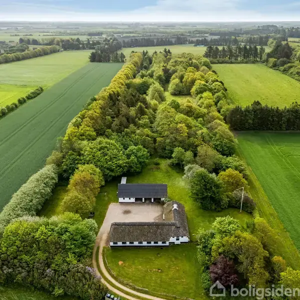 En landlig ejendom med stråtækt tag står stille, omgivet af en skov og marker. En grusvej fører til huset gennem det frodige landskab.