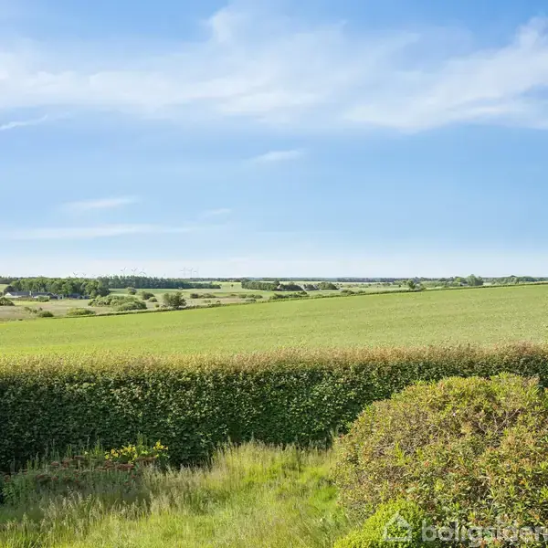 Landskab med grønne marker strækker sig i horisonten under en klar blå himmel. Forgrund med trimmede buske og hæk.