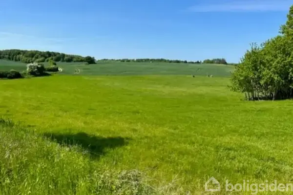 Planteavlsgård/-jord på Fredstedvej x, 6100 Haderslev