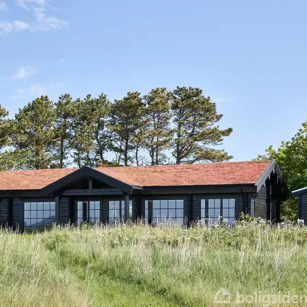 Et sort træhus med rødt tag står stille i en grøn have omgivet af højt græs og træer under en blå himmel.