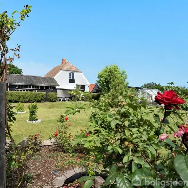 Et hvidt hus med rødt tag står stille omgivet af en velplejet have. Røde roser blomstrer i forgrunden, mens himlen er klar og blå i baggrunden.