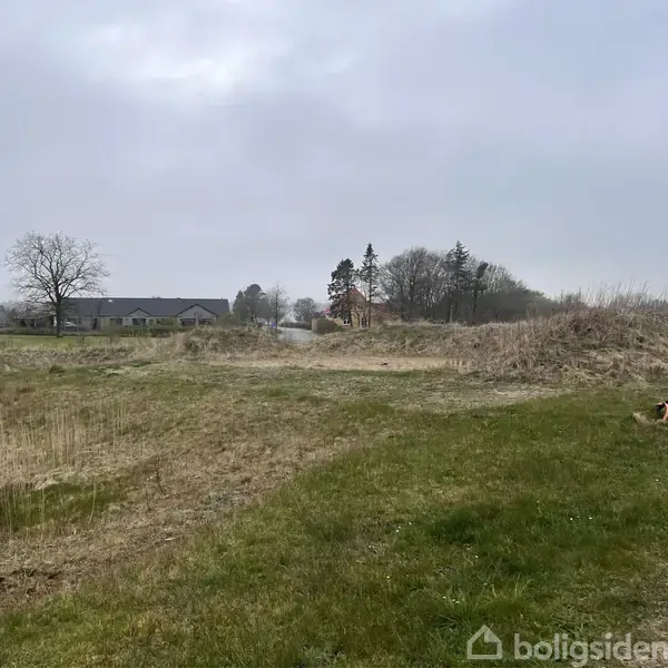Græsareal strækker sig over et åbent landskab med få træer i baggrunden. I horisonten ses nogle enfamiliehuse under en overskyet himmel.