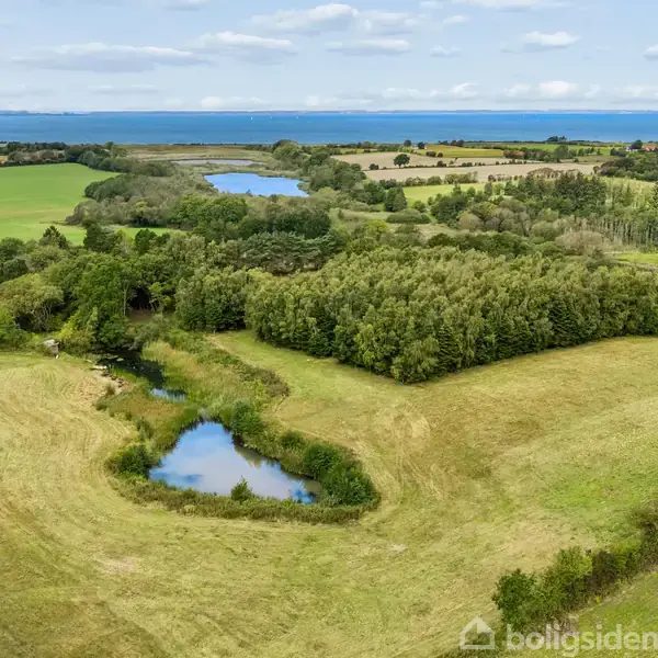 En lille sø omkranset af grønt græs og træer i et vidtstrakt landskab; baggrunden viser en større sø og havet under en klar himmel.