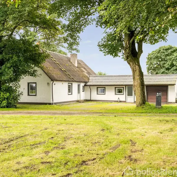 Et hvidt hus med mørkt tag står stille omgivet af træer og en græsplæne, der strækker sig udad. I forgrunden er der en kørebane af grus med få spor.