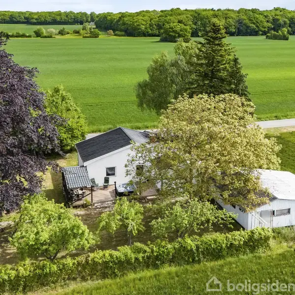 Et hvidt hus omgivet af tætte træer og buske står ved siden af en grusvej. Det ligger i et åbent landligt område med grønne marker og tæt skov i baggrunden.