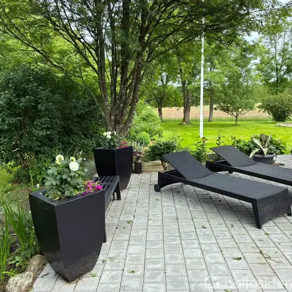 To solsenge står på en brolagt terrasse omgivet af høje træer og grønne planter. En person kigger væk mod en frodig have i baggrunden.