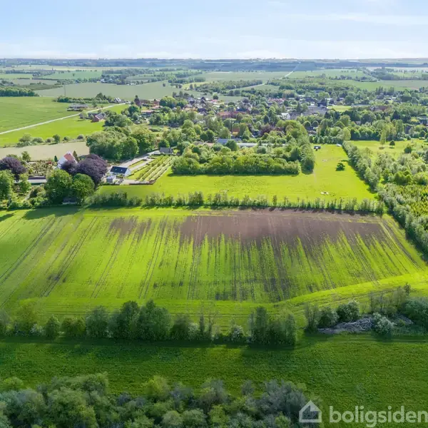 Landbrugsmarker med grønne afgrøder spredt ud i en mosaik af forskellige nuancer, omgivet af træer. I baggrunden ses en landsby og vindmøller strækker sig mod horisonten.