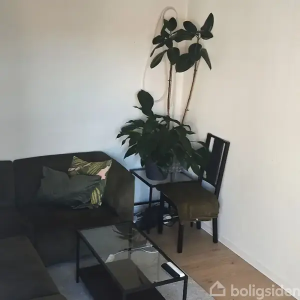 En sort sofa med puder står langs en hvid væg. Et glasbord er placeret foran sofaen, og to planter står i hjørnet ved siden af en stol.
