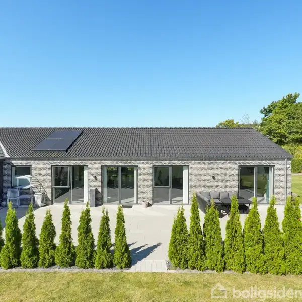 Et moderne murstenshus med store vinduer står stille i en velplejet have. En række høje, tætte buske danner en naturlig grænse foran en terrasse i solskin.