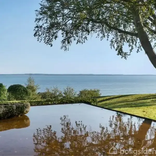 Et spejlblankt vandområde reflekterer en stor sten; i baggrunden står et kraftigt træ på en græsplæne ved siden af havet, som er synligt under en klar blå himmel.