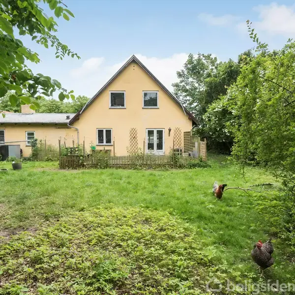 Gult hus med to etager, omgivet af en frodig have. To høns går rundt i græsset foran huset, som er omkranset af tætte træer og buske.