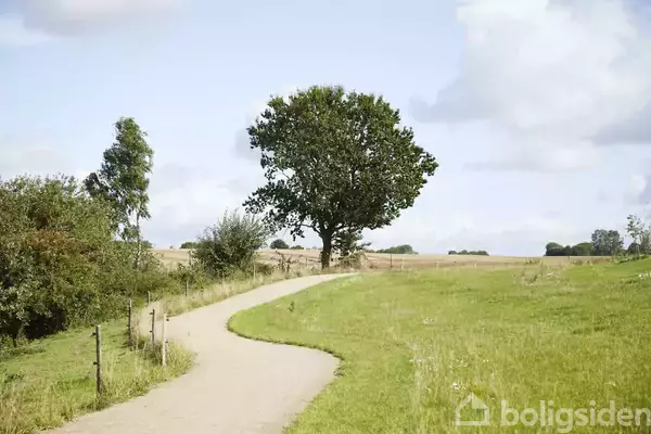 En snoet grussti fører gennem et grønt landskab med en stor træ i baggrunden under en blå himmel med skyer.