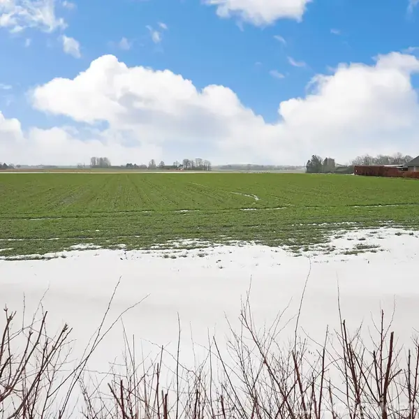 En snedækket mark ligger stille i forgrunden, mens en grøn mark strækker sig ud mod horisonten under en skyfri blå himmel med enkelte skyer. En bygning ses til højre.