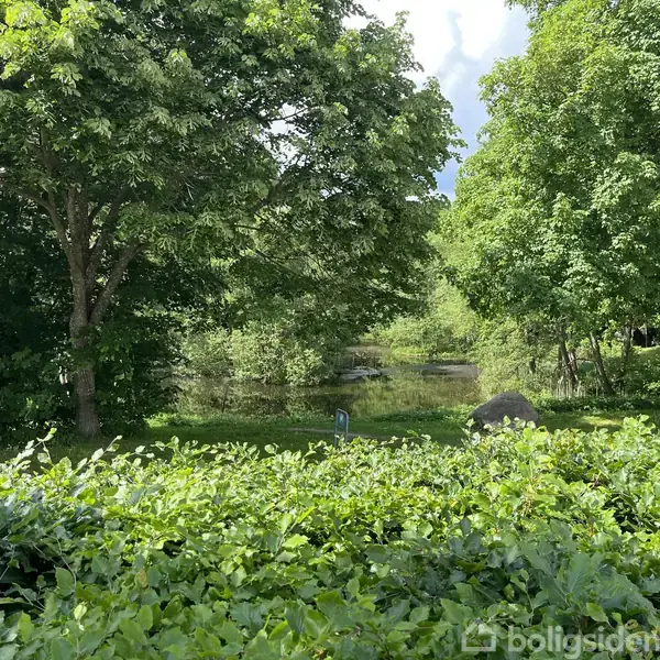 Træer og buske står i forgrunden og danner en frodig grøn ramme omkring en sø i baggrunden, der skaber en rolig og naturskøn atmosfære.