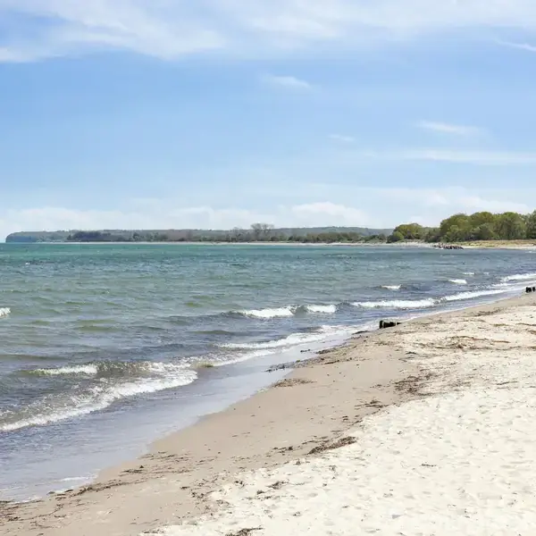 Strand med blødt sand og små bølger skvulpende mod kysten, omgivet af frodig grøn beplantning langs horisonten under en klar blå himmel.