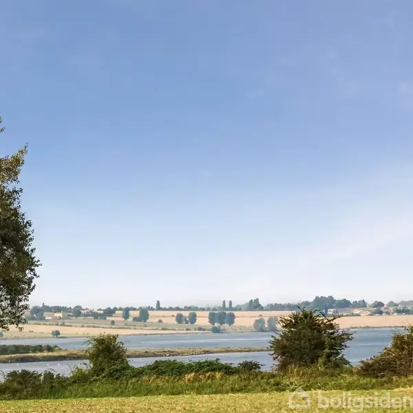 To træer står i en åben grøn eng, mens de omkranser en udsigt over en blå flod og et fjerntliggende landskab med marker under en klar blå himmel.