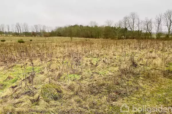En åben mark med tørt græs strækker sig mod en række træer i baggrunden under en grå himmel i et landligt område.
