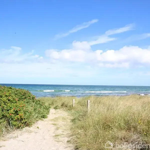 Sti gennem klitter fører til havet, omgivet af græs og buske under en klar blå himmel med få skyer.