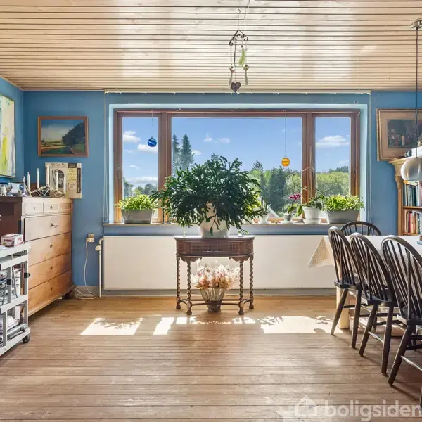 Et lyst spisestue med store vinduer, træmøbler og en grøn plante på et bord. Blå vægge omfavner rummet, og bøger og malerier giver en hjemlig atmosfære. Ingen tekst.