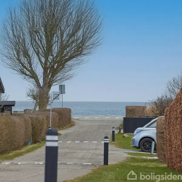 En vej leder mod havet med en enkelt bil parkeret til højre. Store træer uden blade flankerer vejen omgivet af hække. Et hus er til venstre.