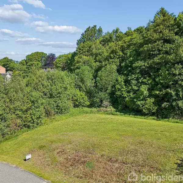 En græsplæne omgivet af tæt skovbevoksning ligger ved siden af en vej i et boligområde. Huse er synlige i baggrunden. Skilt nær vejen. Ingen synlig tekst.