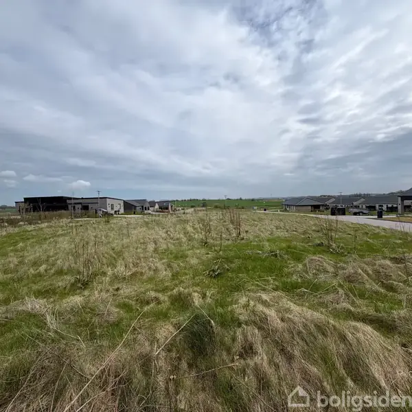 En åben græsmark strækker sig mod horisonten, omkranset af moderne huse i et nybyggerkvarter under en overskyet himmel.
