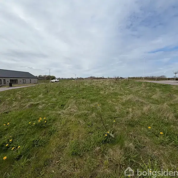 Græsplænen breder sig i forgrunden med spredte gule blomster. Til venstre ses et enkelt hus langs vejen, der fortsætter ind i et åbent, skydekket landskab.