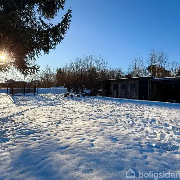 En sneklædt have; solen skinner gennem træerne til venstre, mens en mørk træbygning står til højre. Skyggerne kastes hen over sneen i et landskab med blå himmel.
