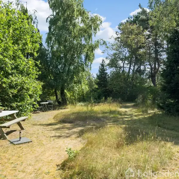En træbænk står på en solrig, græsbeklædt haveplads omringet af tætte, grønne træer og buske. Himlen er blå med spredte skyer.