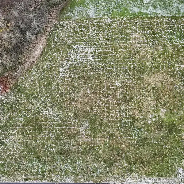 Græsmark med et let lag sne ligger ved siden af tæt skov. Omkranset af hække i et landligt område.