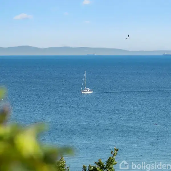 Sejlbåd flyder stille på det blå hav, omgivet af flyvende fugle under en klar himmel. I forgrunden er der slørede grønne blade, og fjerne bjerge skimtes i horisonten.