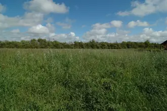 Helårsgrund på Driften 21, 9490 Pandrup