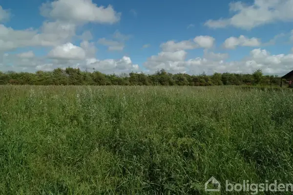 Helårsgrund på Driften 21, 9490 Pandrup