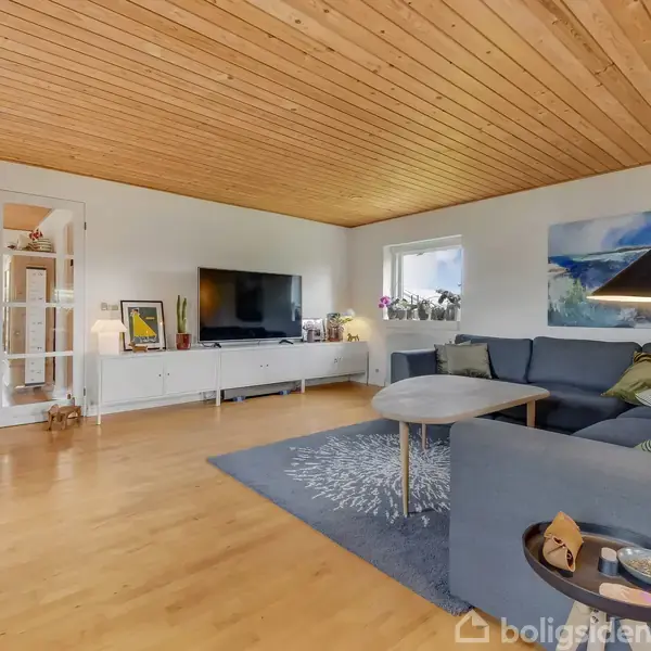Et moderne stueområde med en grå sofa og sofabord, placeret på et tæppe. En fladskærms-tv står på en hvid skænk. Træloft og gulv skaber en varm atmosfære.