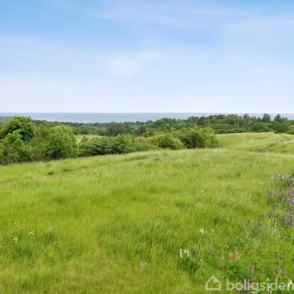Grønt græsområde strækker sig over let bølgede bakker; i baggrunden ses en skovlinje og en skyfri, lys himmel.