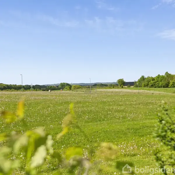 Græsmark strækker sig fredfyldt over et åbent område med træer i baggrunden og en klar blå himmel. Spredte blomster ses på marken, omgivet af grønne buske.