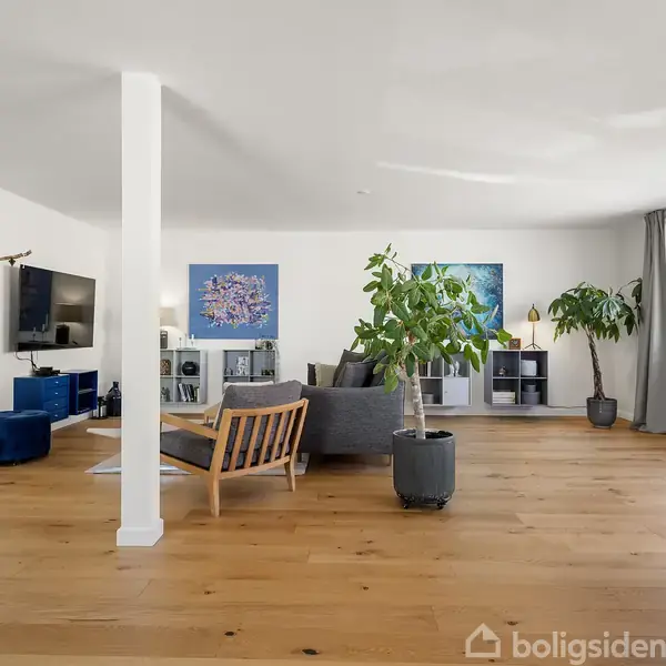 En stue med trægulve indeholder en grå sofa og store grønne planter. Der hænger malerier på væggen, og et TV er monteret til venstre. Vinduer bringer naturligt lys ind.
