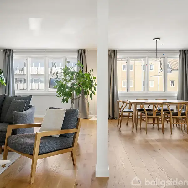 Grå sofa og lænestol står ved siden af en stor stueplante i en lys stue. Spisebord med træstole står foran vinduer med grå gardiner.