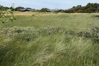 Fritidsgrund på Tjørnevej 3, Tornby, 9850 Hirtshals