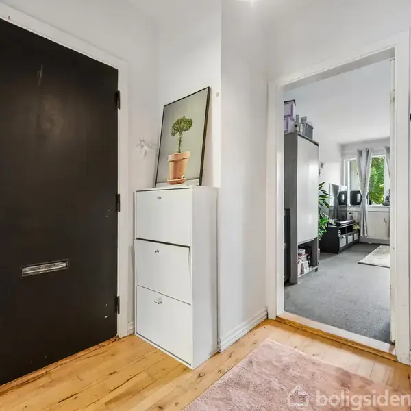 Sort dør står åben ved siden af en hvid skoreol med en plante ovenpå. Foran ses en gang med trægulv, og i baggrunden et værelse med tæppe og vindue.