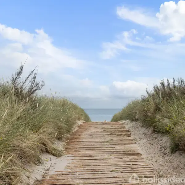 En træsti leder over sand mellem høje græsbuske mod en rolig havhorisont under en delvist skyet blå himmel.